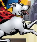 Krypto